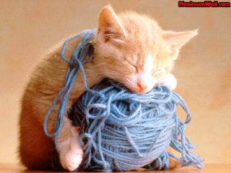 chat
