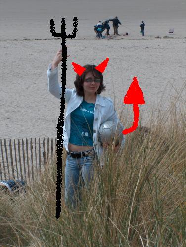 marjolaine