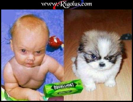 la ressemblance